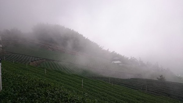 DSC_1745.JPG