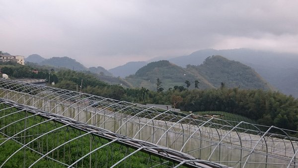 DSC_1780.JPG