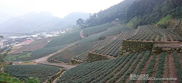 DSC_1739_全景1.jpg