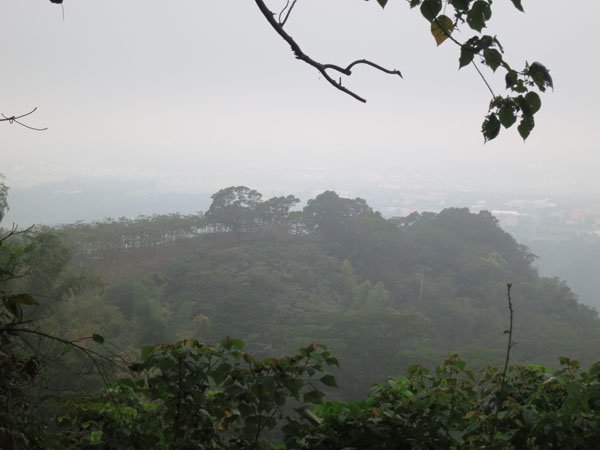 IMG_0060.JPG