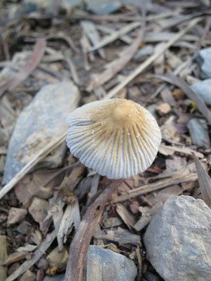 IMG_0098.JPG