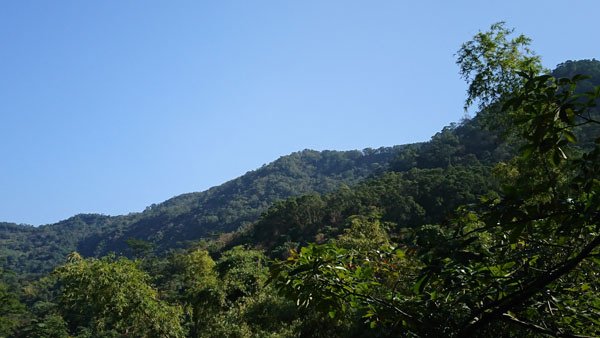 IMG_0134 5.JPG