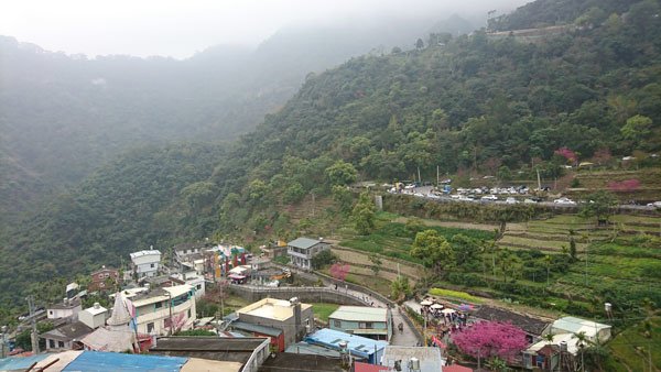59.JPG