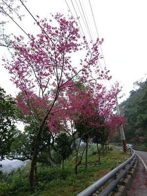 63.JPG