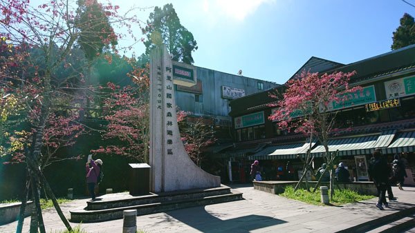 2019.01.29 冬遊阿里山第二天--鹿林神木、阿里山森