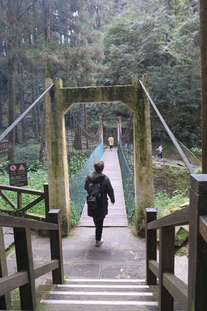 2019.01.29 冬遊阿里山第二天--鹿林神木、阿里山森
