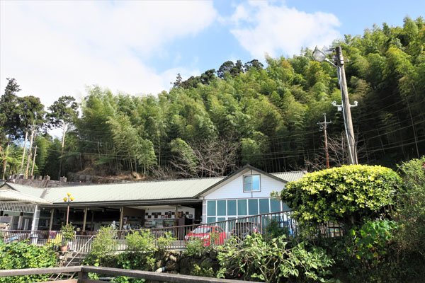 2019.01.30 冬遊阿里山第三天--頂石棹霧之道、茶之