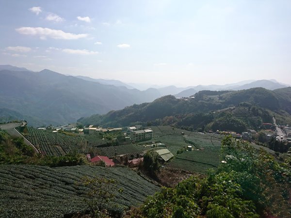 2019.01.30 冬遊阿里山第三天--頂石棹霧之道、茶之
