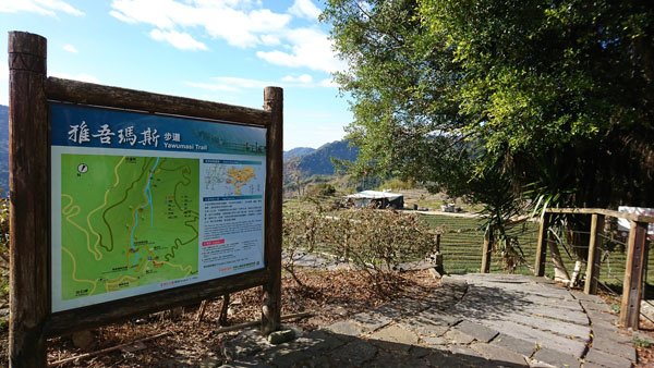 2019.01.31 冬遊阿里山第四天--祕境觀日出、雅吾瑪