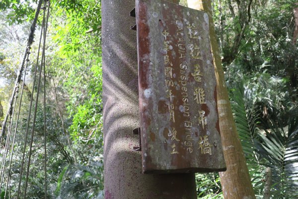 2019.01.31 冬遊阿里山第四天--祕境觀日出、雅吾瑪
