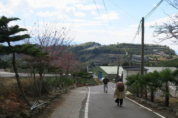 2019.01.31 冬遊阿里山第四天--祕境觀日出、雅吾瑪