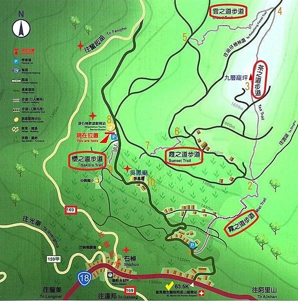 2019.01.30 冬遊阿里山第三天--頂石棹霧之道、茶之