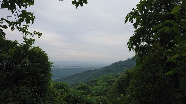 18.JPG