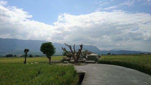 20.JPG
