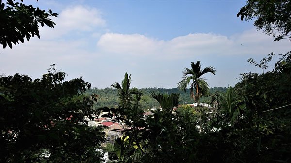 65.JPG