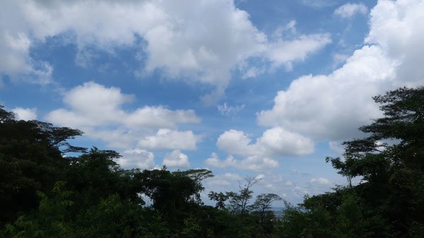 99.JPG