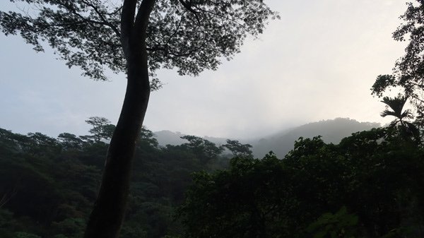18 5.JPG