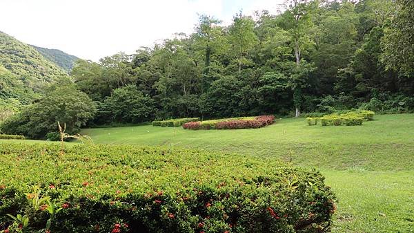 8陽光草坪.JPG