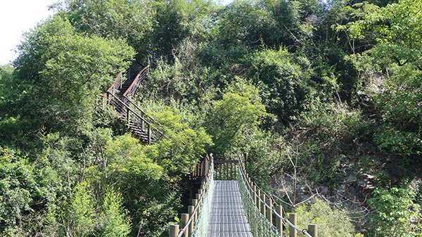 2024.06.28【茂林羅木斯登山步道】、一貫道【神威天台