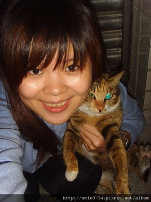 Tora6.bmp