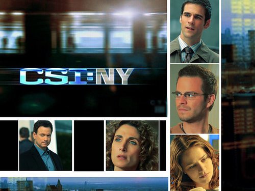 CSI NY2.jpg