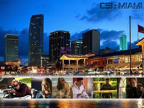 CSI MIAMI.jpg