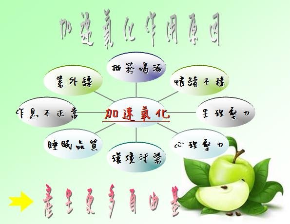 抗氧1