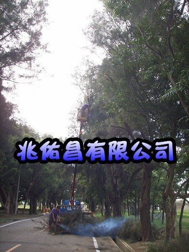 大園鋸樹修剪公司，滿足您的需求無論修樹、鋸樹、拔草、除草、花