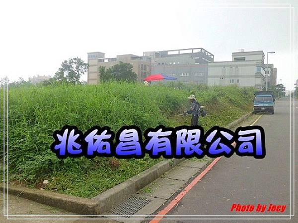 專業新埔鋸樹修剪公司服務，提供高品質樹木修剪.樹木矯正.園藝