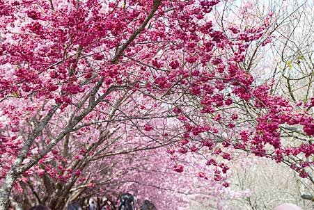 DSC_0011.jpg