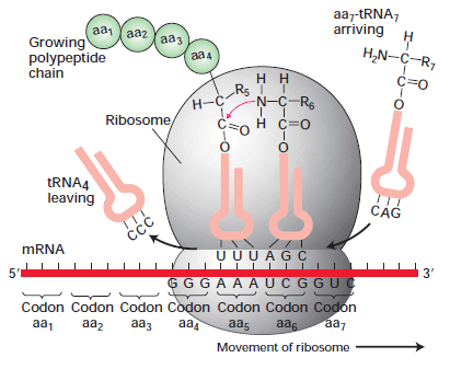 figure 1.png