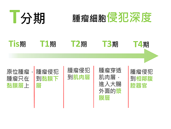 大腸直腸癌怎麼分期？怎麼治療？-01.png