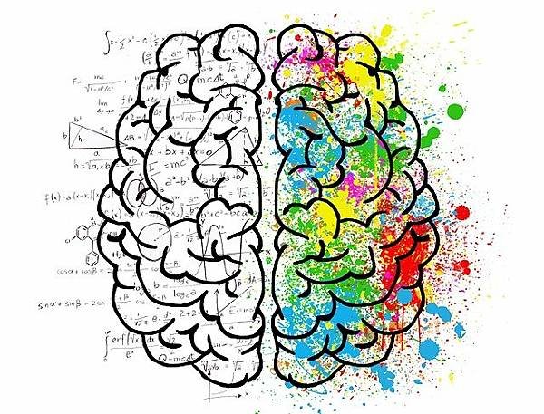 brain-2062057_640.jpg