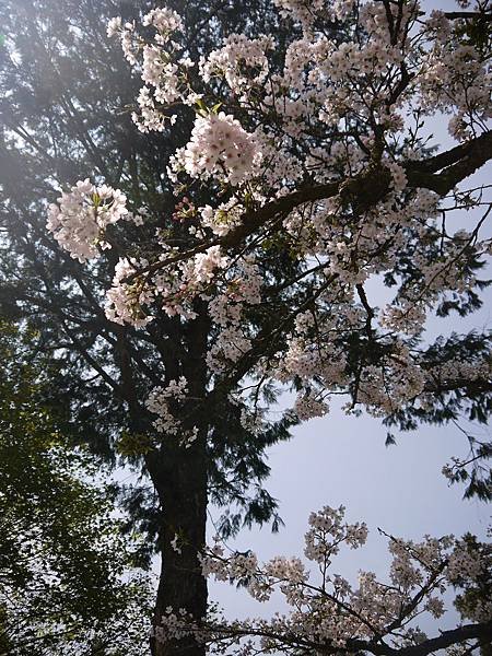 P1200914