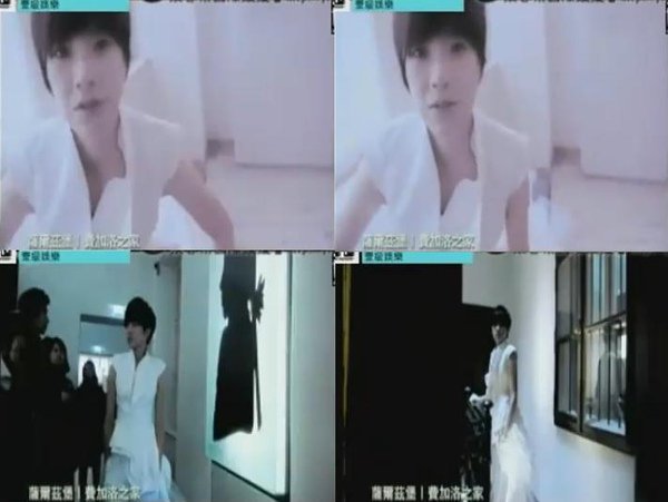 E級娛樂張芸京維也納4.JPG