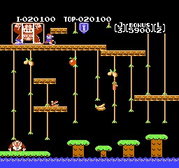 Donkey Kong Jr