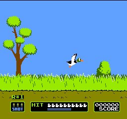 Duck Hunt