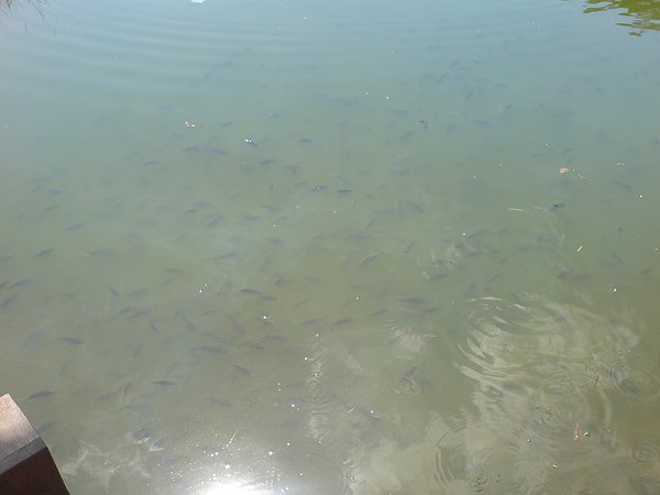 DSC00013.JPG