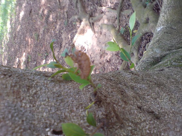DSC00022.JPG