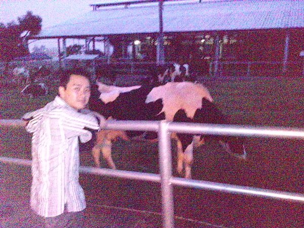 LGIM0029.jpg