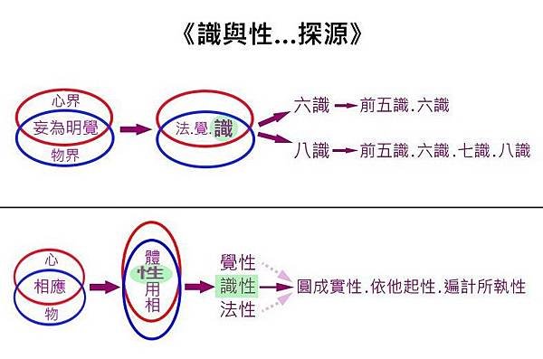 識與性…探源.jpg