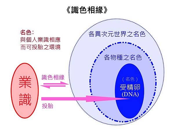 識色相緣.jpg