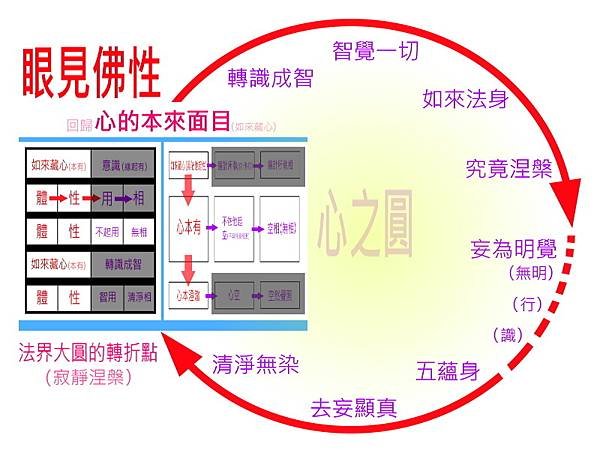 心之圓.眼見佛性.jpg