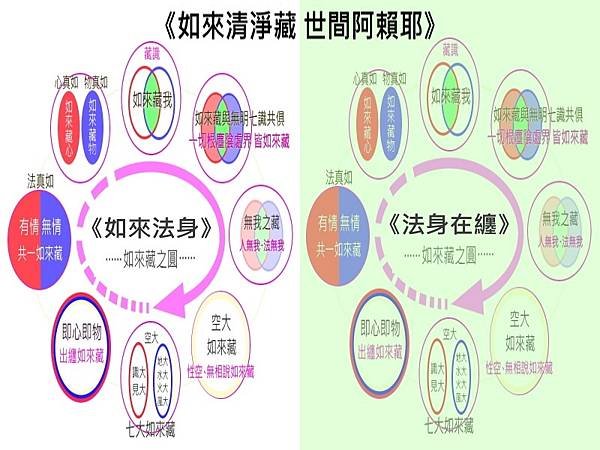 如來清淨藏 世間阿賴耶.jpg