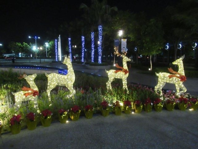 IMG_8793.JPG - 2022高雄夢時代和SKM Park Outlets 高雄草衙之聖誕裝飾行