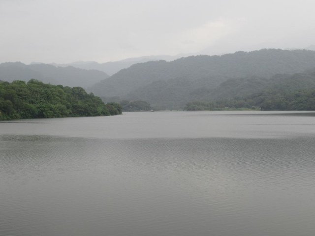 IMG_5977.JPG - 苗栗明德水庫和雅聞七里香玫瑰森林之行