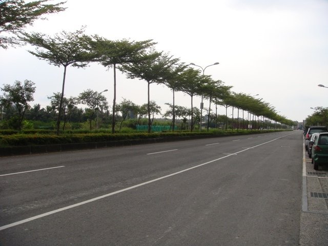 DSC09526.JPG - 舊振南漢餅房新開幕之行