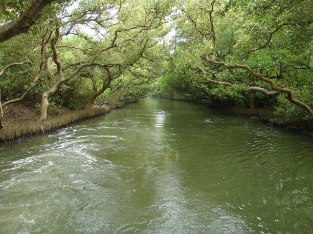 DSC09187.JPG - 台南四草綠色隧道之行