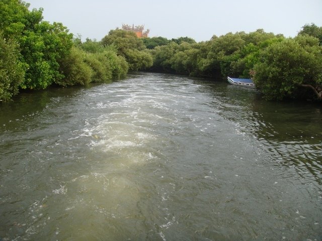 DSC09156.JPG - 台南四草綠色隧道之行