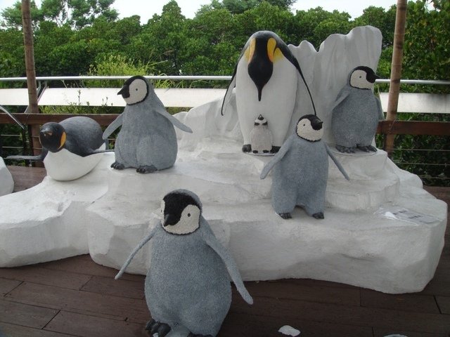 DSC09220.JPG - 台南四草綠色隧道之行